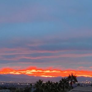 Meet your Posher, Esther